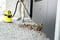 Фото - Пылесос Karcher WD3 Battery (1.629-910.0) | click.ua