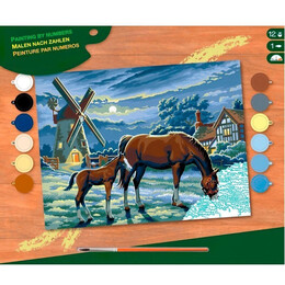Набор для творчества Sequin Art Painting by numbers Senior Evening Pasture (SA0429)