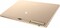 Фото - Планшет Pixus Joker 3/32GB 4G Dual Sim Gold | click.ua