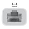 Фото - Мережева карта Apple Thunderbolt to Gigabit Ethernet Adapter (MD463LL/A) | click.ua