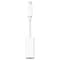 Фото - Мережева карта Apple Thunderbolt to Gigabit Ethernet Adapter (MD463LL/A) | click.ua