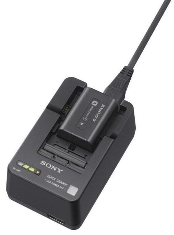Зарядний пристрій Sony BC-QM1 (BCQM1.RU3)
