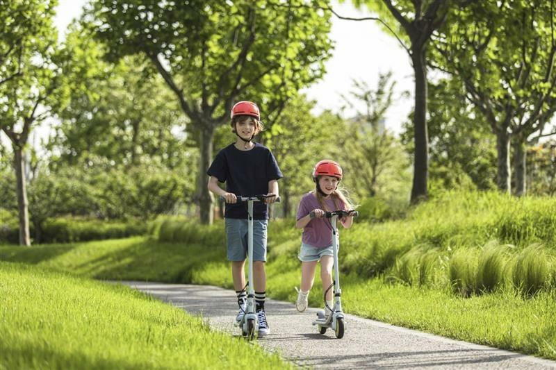 Електросамокат Segway Ninebot C10 (AA.00.0011.56)