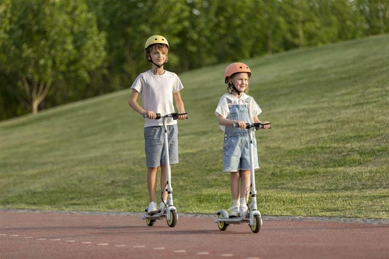 Електросамокат Segway Ninebot C10 (AA.00.0011.56)