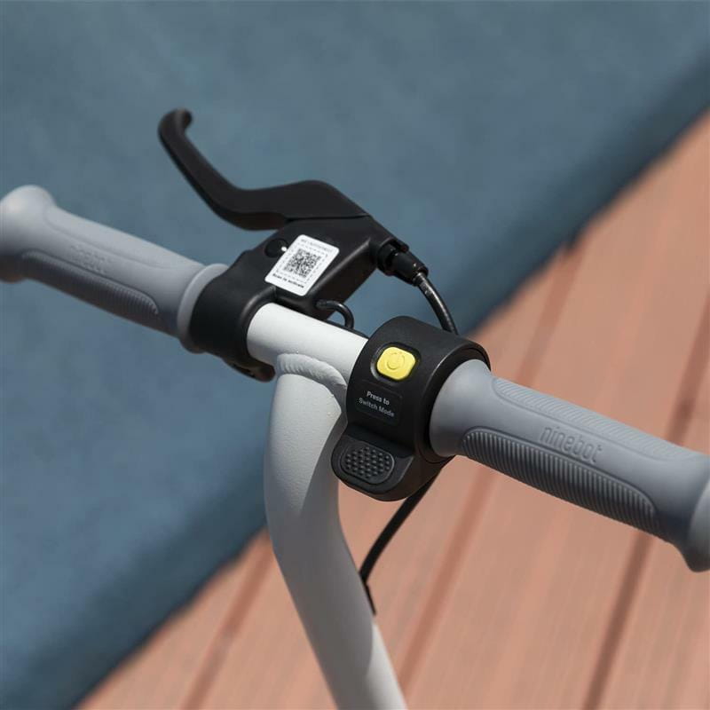 Електросамокат Segway Ninebot C10 (AA.00.0011.56)