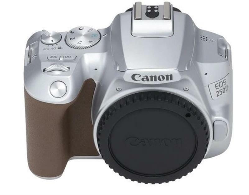 Цифрова дзеркальна фотокамера Canon EOS 250D kit 18-55 IS STM Silver (3461C003)