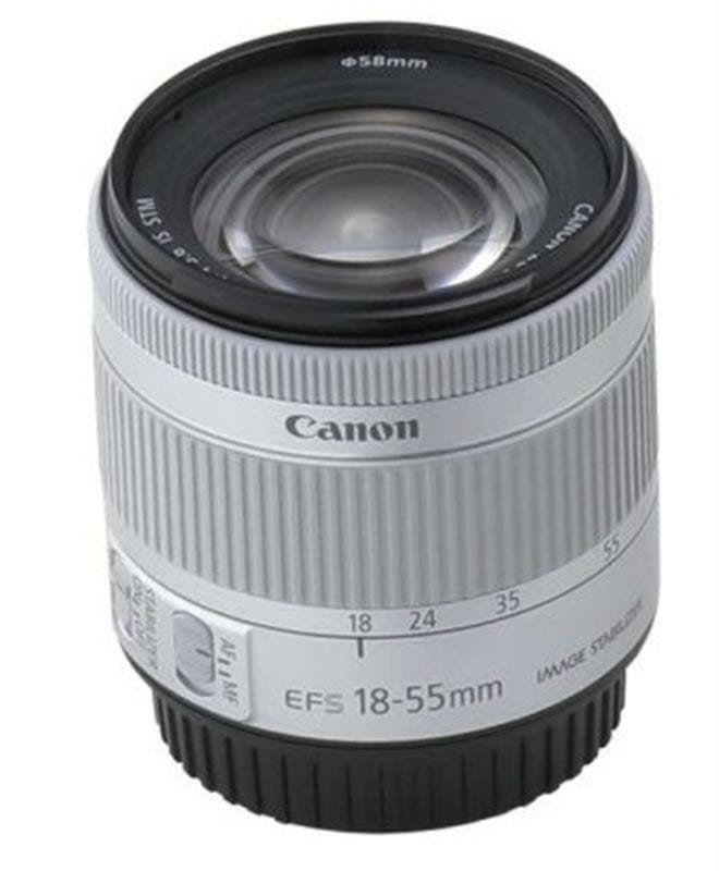 Цифровая зеркальная фотокамера Canon EOS 250D kit 18-55 IS STM Silver (3461C003)