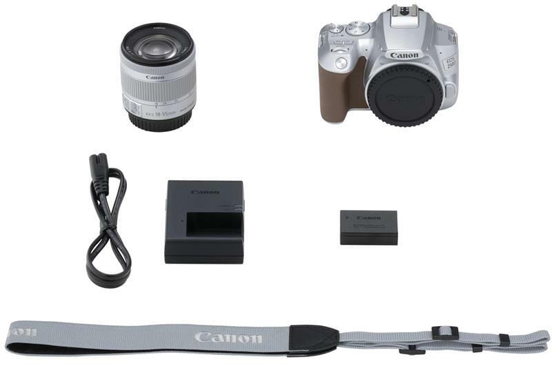 Цифровая зеркальная фотокамера Canon EOS 250D kit 18-55 IS STM Silver (3461C003)