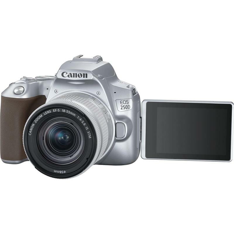 Цифровая зеркальная фотокамера Canon EOS 250D kit 18-55 IS STM Silver (3461C003)