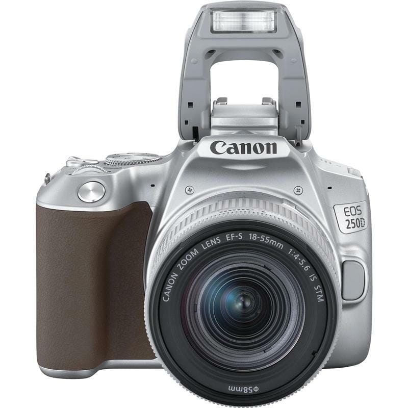 Цифровая зеркальная фотокамера Canon EOS 250D kit 18-55 IS STM Silver (3461C003)