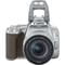 Фото - Цифровая зеркальная фотокамера Canon EOS 250D kit 18-55 IS STM Silver (3461C003) | click.ua