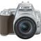 Фото - Цифровая зеркальная фотокамера Canon EOS 250D kit 18-55 IS STM Silver (3461C003) | click.ua