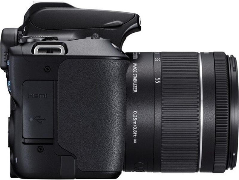 Цифровая зеркальная фотокамера Canon EOS 250D kit 18-55 IS STM Black (3454C007)