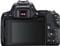 Фото - Цифровая зеркальная фотокамера Canon EOS 250D kit 18-55 IS STM Black (3454C007) | click.ua