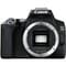 Фото - Цифрова дзеркальна фотокамера Canon EOS 250D kit 18-55 IS STM Black (3454C007) | click.ua