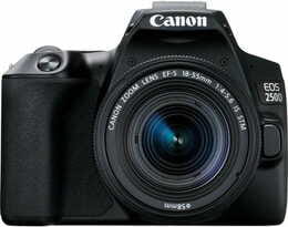 Цифрова дзеркальна фотокамера Canon EOS 250D kit 18-55 IS STM Black (3454C007)