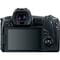 Фото - Цифрова фотокамера Canon EOS R + RF 24-105 f/4.0-7.1 IS STM(3075C129) | click.ua