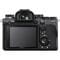 Фото - Цифровая фотокамера Sony Alpha 9M2 body Black (ILCE9M2B.CEC) | click.ua