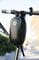 Фото - Сумка для самокатов Segway Ninebot (AC.00.0000.38) | click.ua