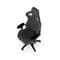 Фото - Кресло для геймеров Noblechairs Epic TX Anthrazite (NBL-EPC-TX-ATC) | click.ua