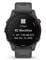 Фото - Смарт-годинник Garmin Forerunner 255 Slate (010-02641-43) | click.ua