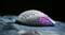 Фото - Миша Xtrfy M42 RGB White (XG-M42-RGB-WHITE) | click.ua