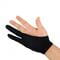 Фото - Рукавичка для малювання SK Size L Black (33036100217LB) | click.ua
