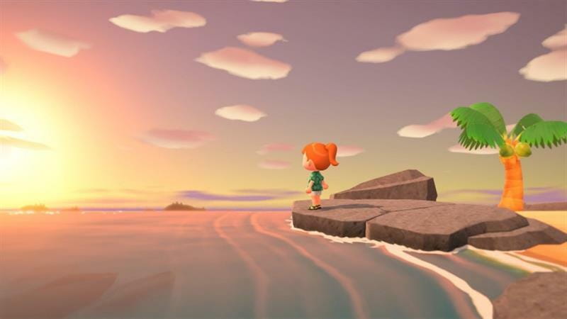 Игра Animal Crossing: New Horizons для Nintendo Switch (45496425470)