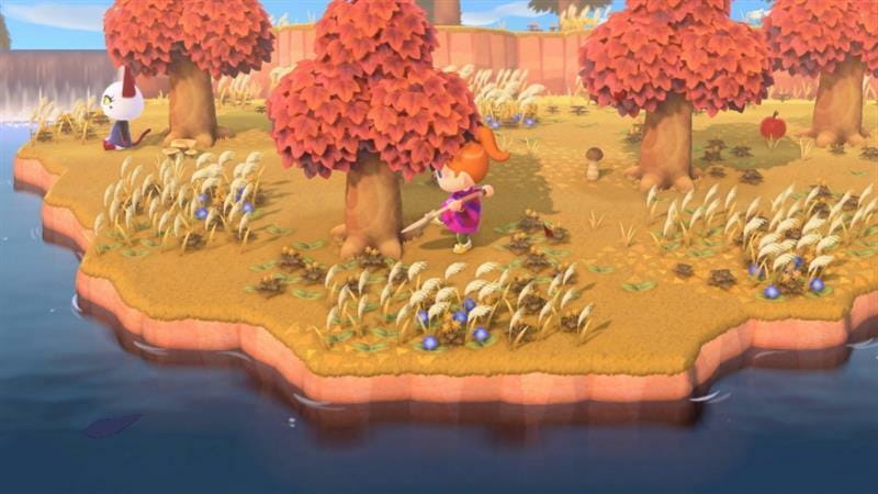 Игра Animal Crossing: New Horizons для Nintendo Switch (45496425470)
