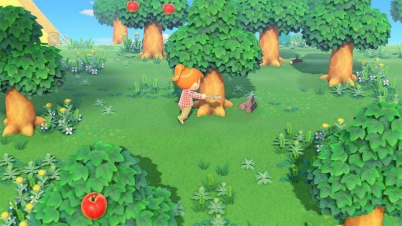 Игра Animal Crossing: New Horizons для Nintendo Switch (45496425470)
