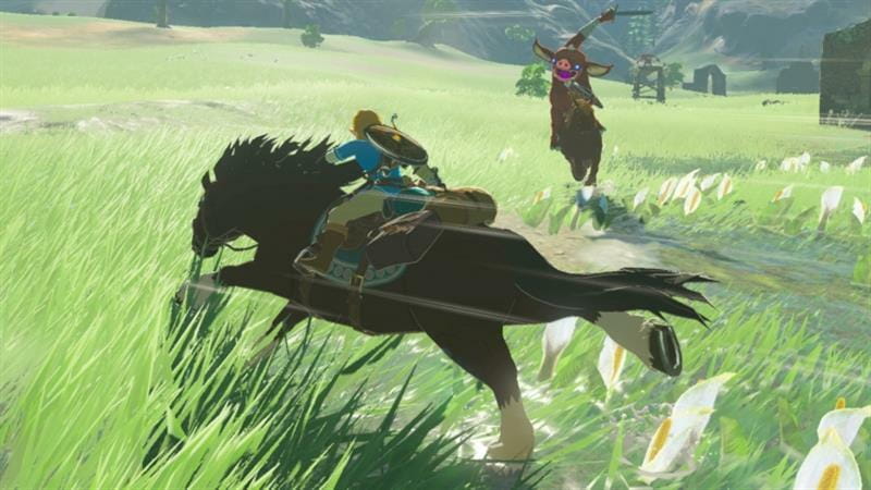 Гра The Legend of Zelda: Breath of the Wild для Nintendo Switch (045496420055)