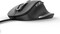 Фото - Миша Trust Fyda Black (24728) | click.ua