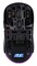 Фото - Мышь беспроводная 2E Gaming HyperDrive Lite WL Black (2E-MGHDL-WL-BK) | click.ua