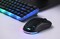 Фото - Мышь беспроводная 2E Gaming HyperDrive Lite WL Black (2E-MGHDL-WL-BK) | click.ua