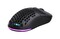 Фото - Мышь беспроводная 2E Gaming HyperDrive Lite WL Black (2E-MGHDL-WL-BK) | click.ua