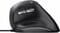 Фото - Миша Trust Bayo Vertical Black (24635) | click.ua
