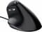 Фото - Миша Trust Bayo Vertical Black (24635) | click.ua